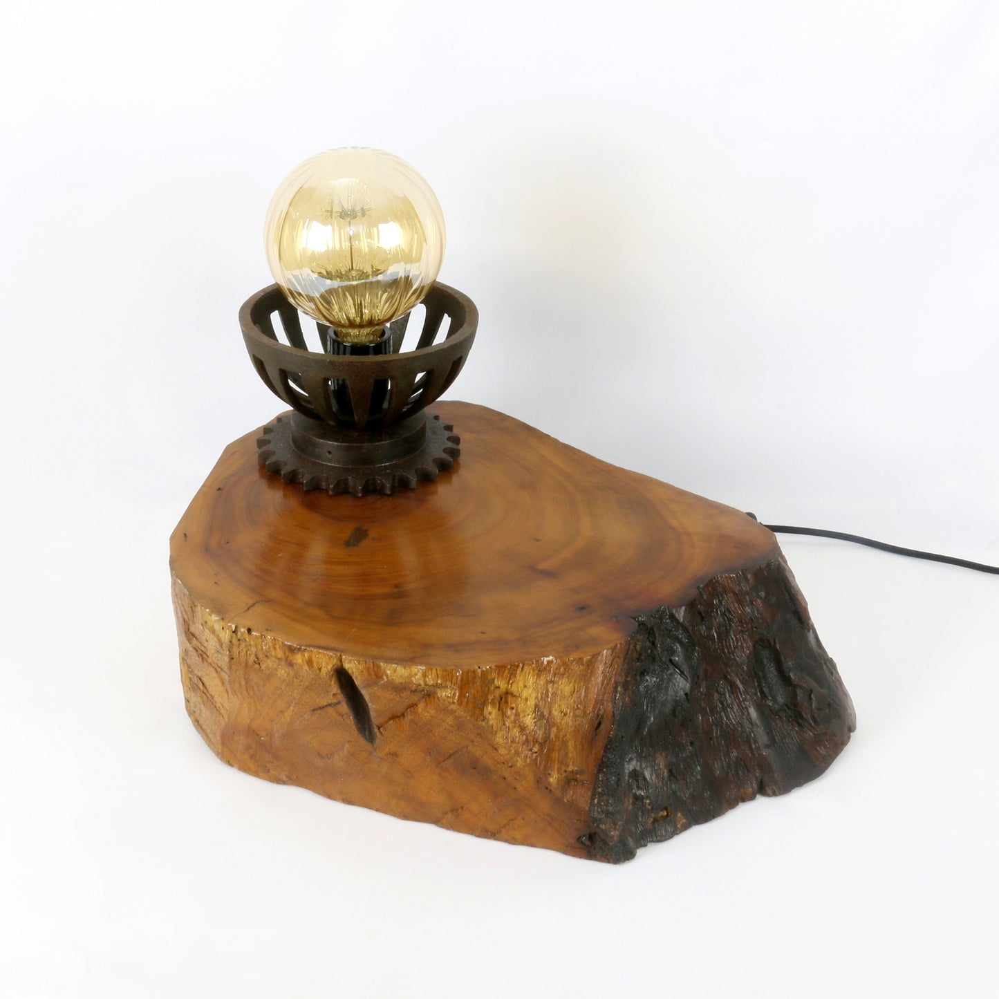 Luminária Natureza Esparrachacada