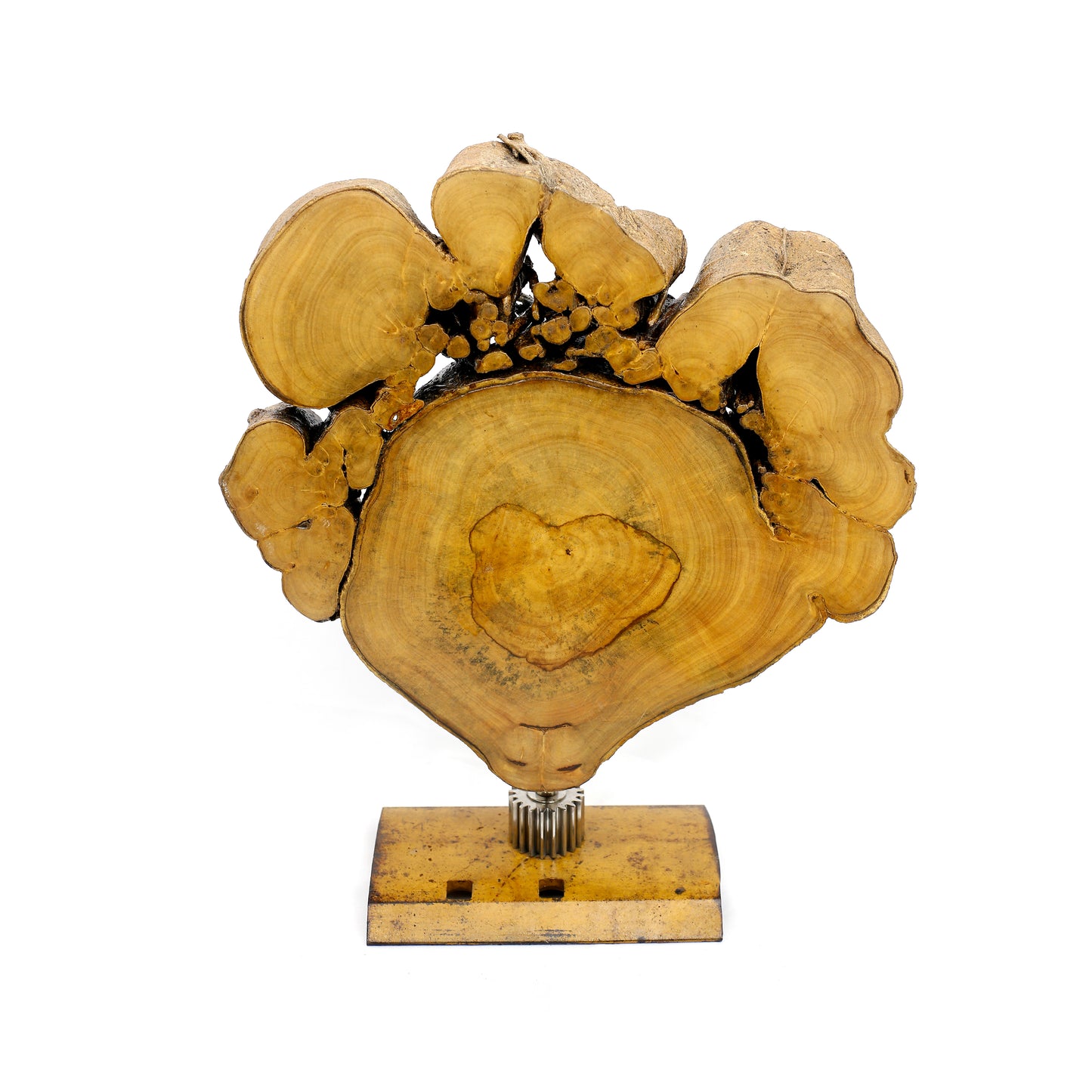 Decorativo Amarelou!